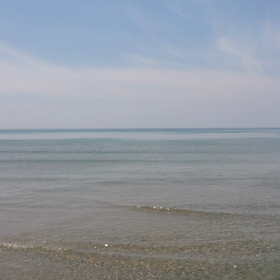 日焼けの痒みが治まったら、今度は蚊に刺された痒みに苦しんだ今朝(笑)の画像