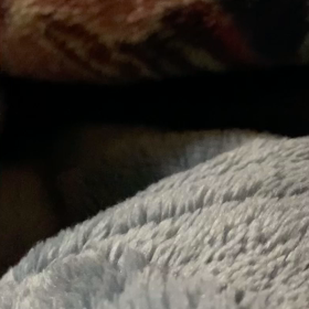 ふざけて上着を着ない息子。の画像