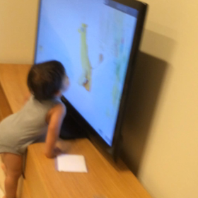 ハル1歳半の画像