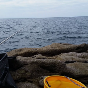 久しぶりの釣りの画像