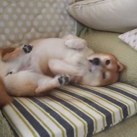 今年暑ない⁉️の画像