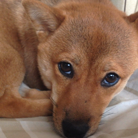 2015年10月6日の画像