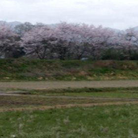 寒暖差アレルギー？の画像