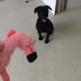 ♪プレイルーム動画♪の画像