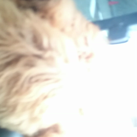 きもちいーの画像