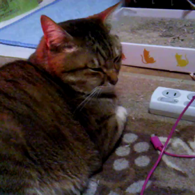 いねむりの画像