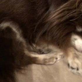 ぐっすりの画像