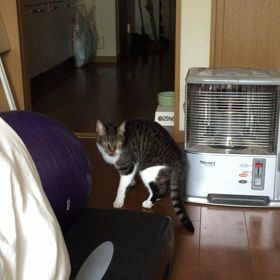 朝 その5の画像