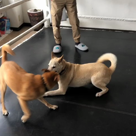 落ち着いたと言えども・・・の画像