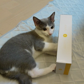 ガジガジの画像