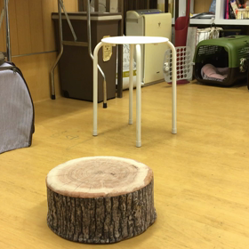 さすがに厳しいか。の画像