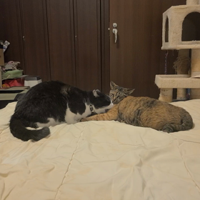 もういいってば！の画像