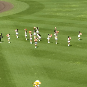 阪神巨人戦！の画像