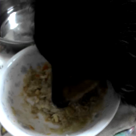 節分とキティのシャンプーの日。の画像