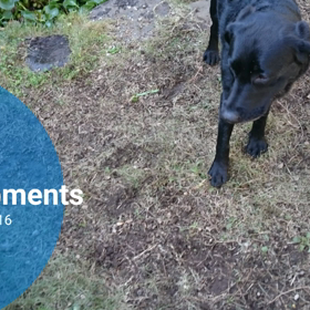 今週末も♪の画像