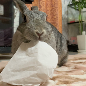 間と肘☆の画像