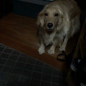 おトイレ事情の画像