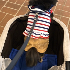 お姉たーんの画像