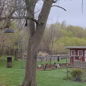 Bring it on❗の画像