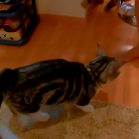 やられたーーの画像