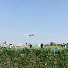 大迫力!!の画像