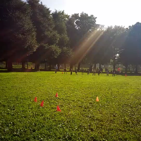 学年別インターバル(紺・黄緑・その他)⑤の画像