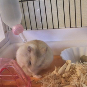 記念すべきの画像