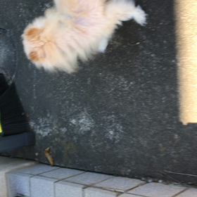 2018.10.07ハイジャンプ❣️❣️の画像