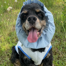 久し振りの投稿❗️の画像