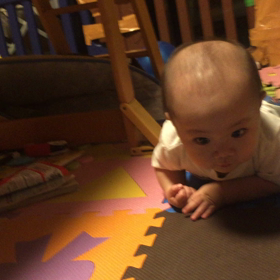 ズリバイの画像