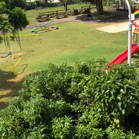 新しい地球への画像