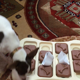 知育玩具 対決の画像