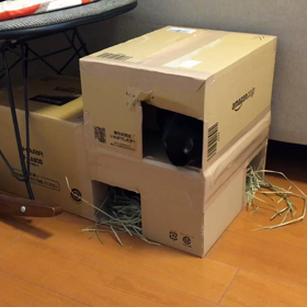 恥ずかしながら還って参りました❗️の画像