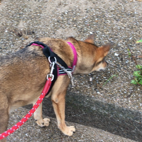 ジャンプ〜の画像