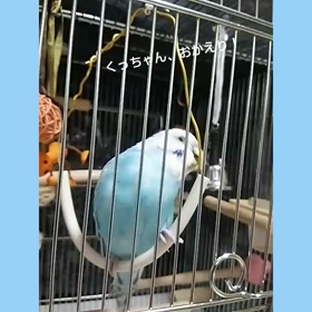 ごあいさつの画像