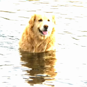 初川遊び動画の画像