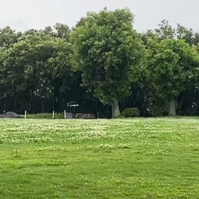 “自然と音遊び” プロジェクト vol.039！の画像