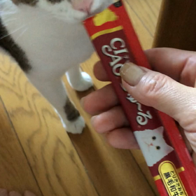 娘ったら…。デールちゃんの好き嫌い、チャオさーん！の画像