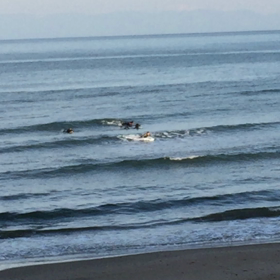 今朝のスネ波 その3の画像