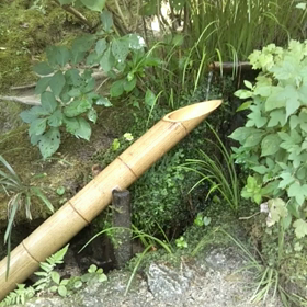 ししおどし発祥の詩仙堂 京都市左京区 Sakuraの ほっこり日和