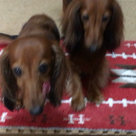 ビックリ仰天の画像