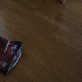 大事な火曜日…舞浜じゃなくて水道橋へ！えっ？やな予感。キャンセルがなかなか出来ない女。の画像