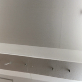 ぶーん、ぶーんの画像