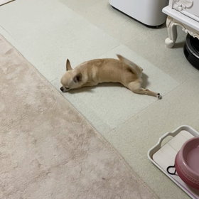 マナさん、毎晩のルーティンの画像