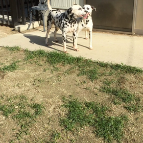 会いたいよぉ〜❣️の画像