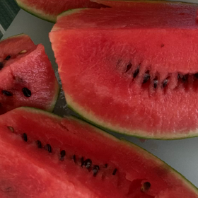 介護記録３３９（農家さんは職人）の画像