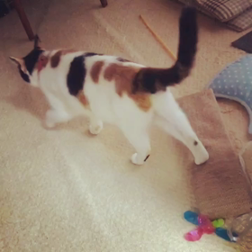 朝から逆再生の画像