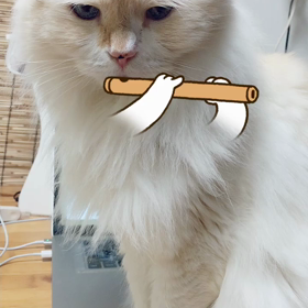 SNOWでぴろぴろーの画像