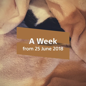 ☆えくすぺりあからにょおくりもの☆の画像