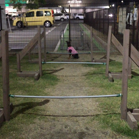 練習中〜の画像